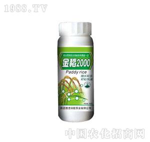 ����-��2000