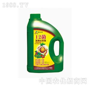 ����-12���l(f��)���������Һ�w��