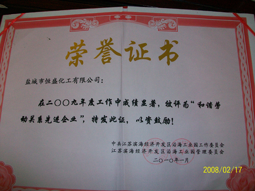 火爆網絡拓展訓練之共建家園